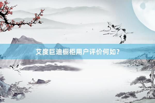 艾度巨迪橱柜用户评价何如？